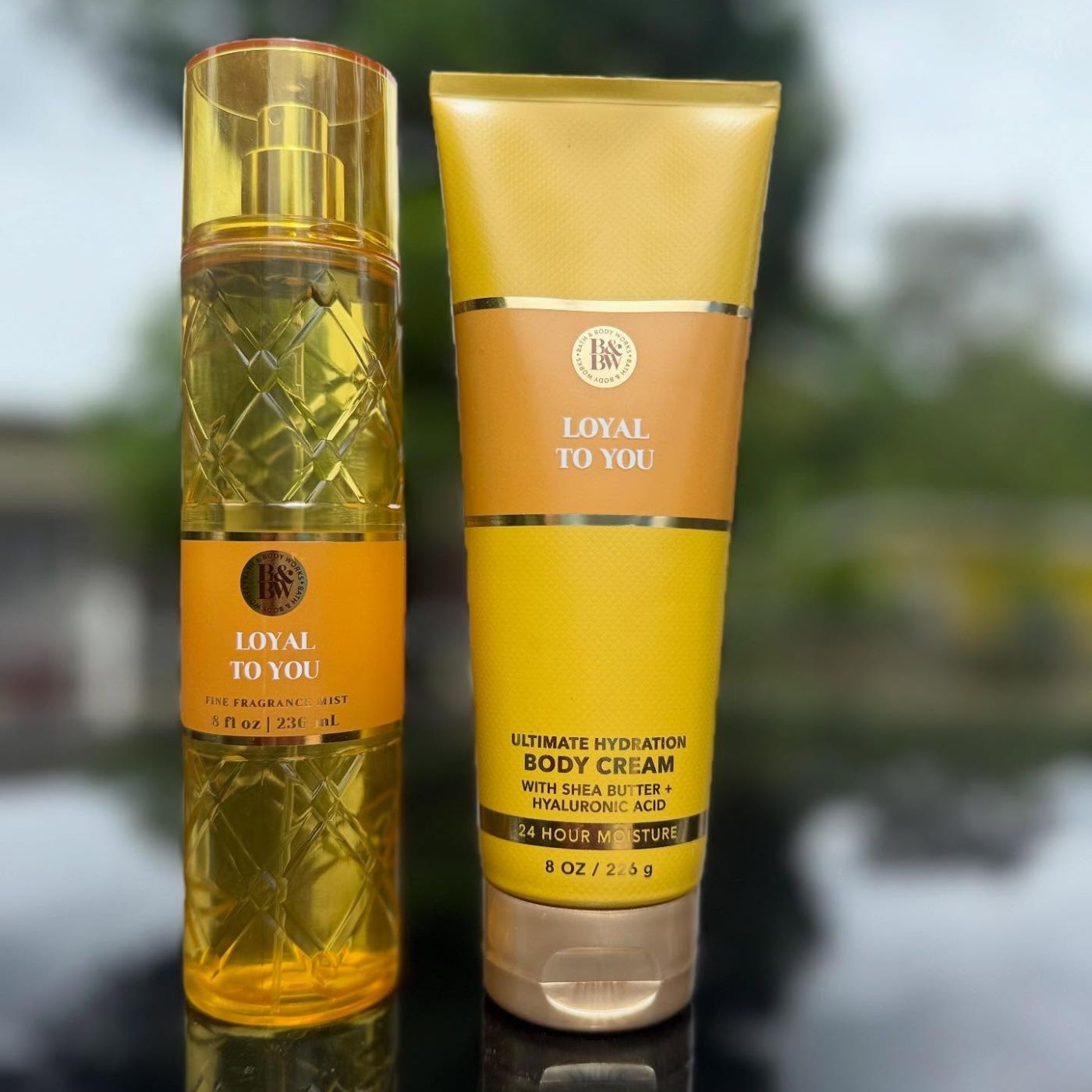 Bath & Body Works Loyal to You Fragrance Mist & Ultimate Hydration Body Cream Set - 236ml (8.0 fl oz) - BARTER HUTT