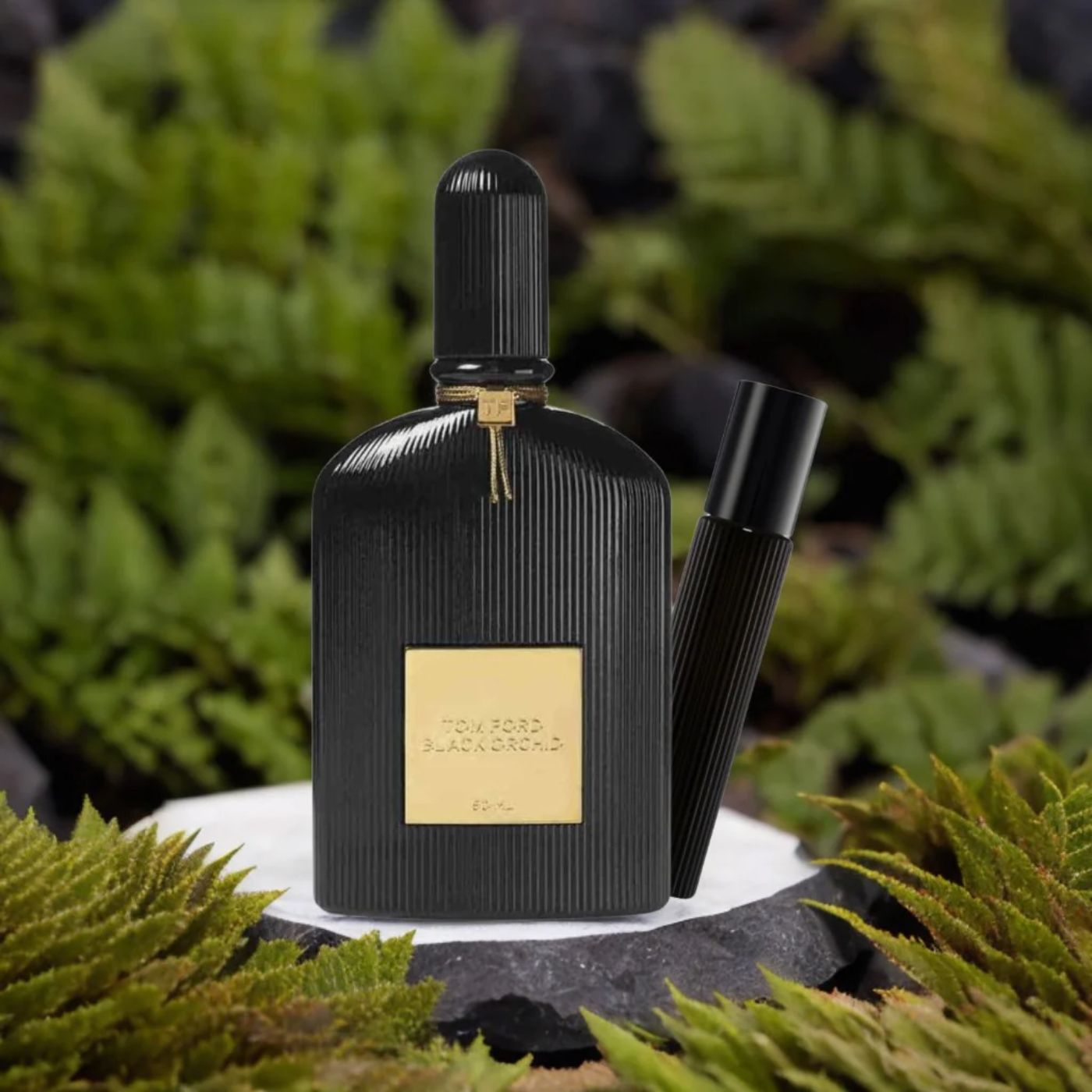 Signature femme Black Orchid