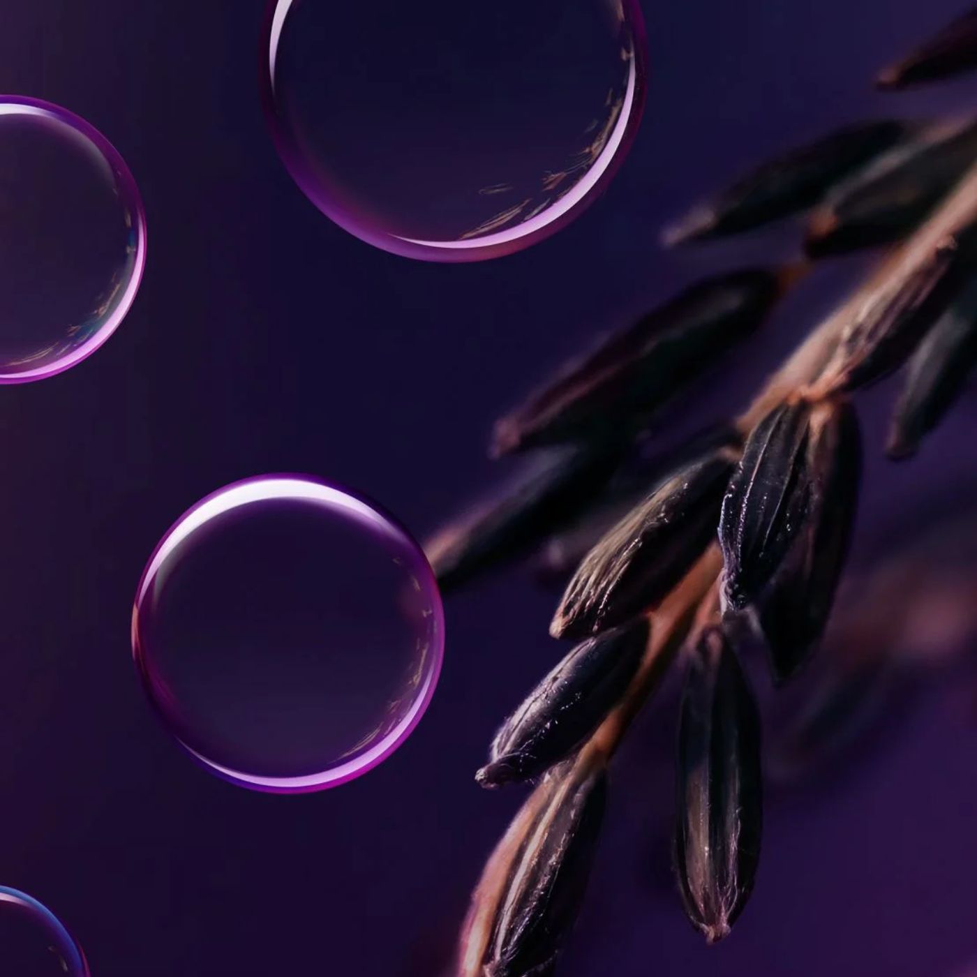 Sérum corporel The Ritual of Yozakura